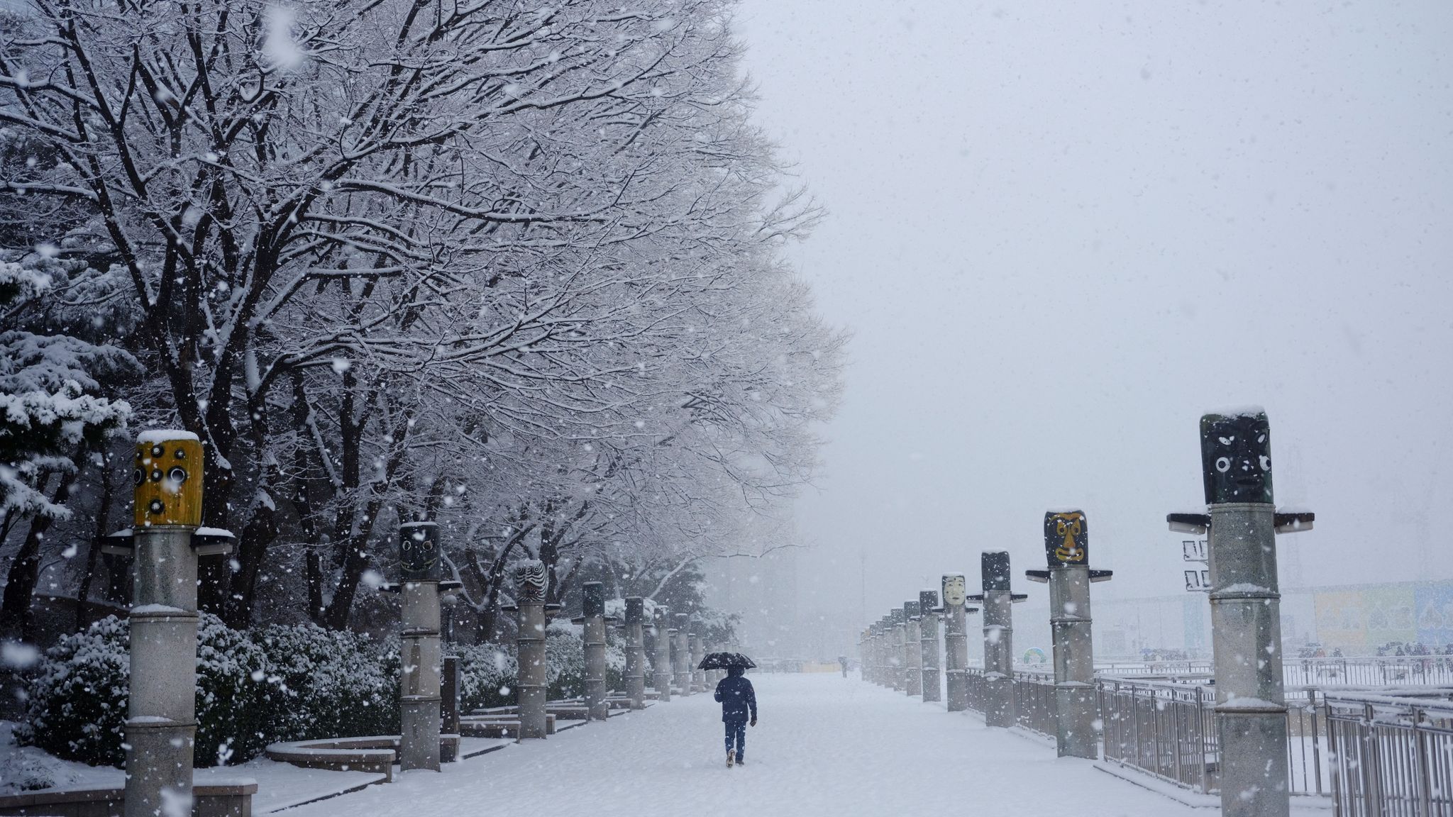 Heaviest snow in South Korea's capital Seoul for more than 40 years