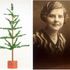 Christmas tree from 1920s Woolworths sells for 'astonishing' price