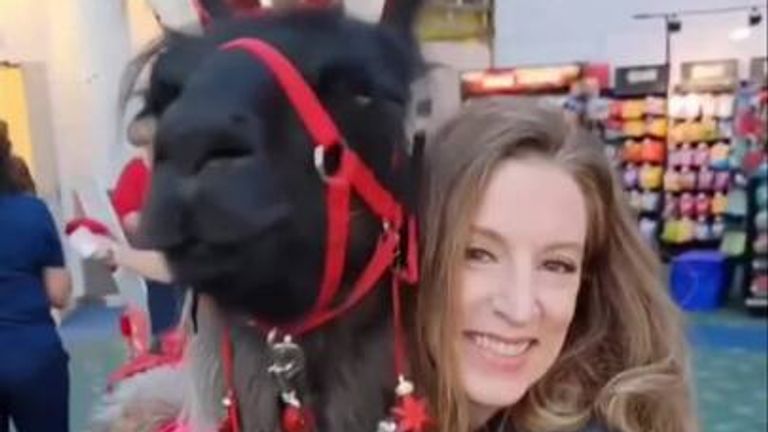 Llamas