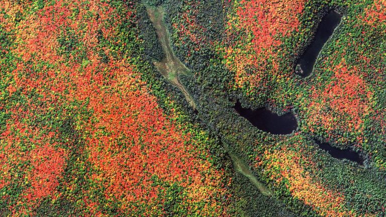 Fall in Canada&#39;s Quebec province - specifically Lac-Nilgaut - on 27 September.