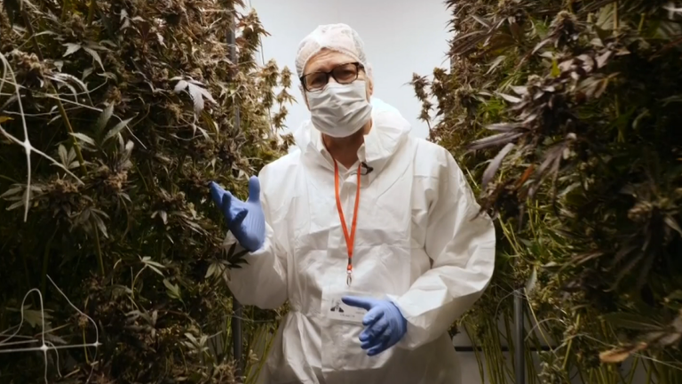 Inside the first UK medical cannabis <a href=