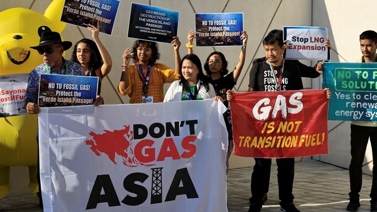 Activists have been protesting at the Dubai summit