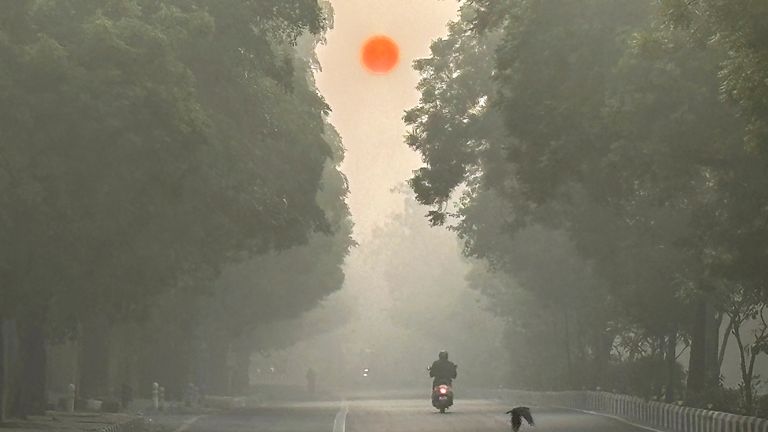 The Sun rises as a motorist drives amidst morning fog in New Delhi, India
Pic:AP