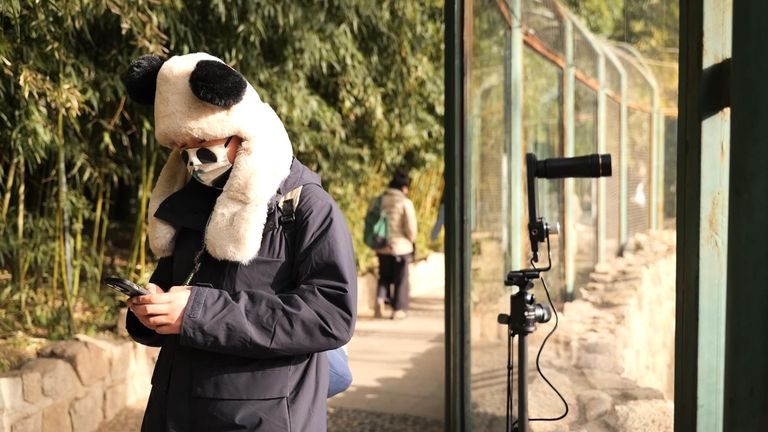 Helen-Ann Smith pandas