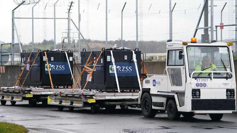 Giant pandas Yang Guang and Tian Tian inside metal crates are loaded onto a China Southern cargo plane at Edinburgh Airport to begin their journey back to China after spending 12 years a China Southern cargo plane at Edinburgh zoo. Picture date: Monday December 4, 2023.