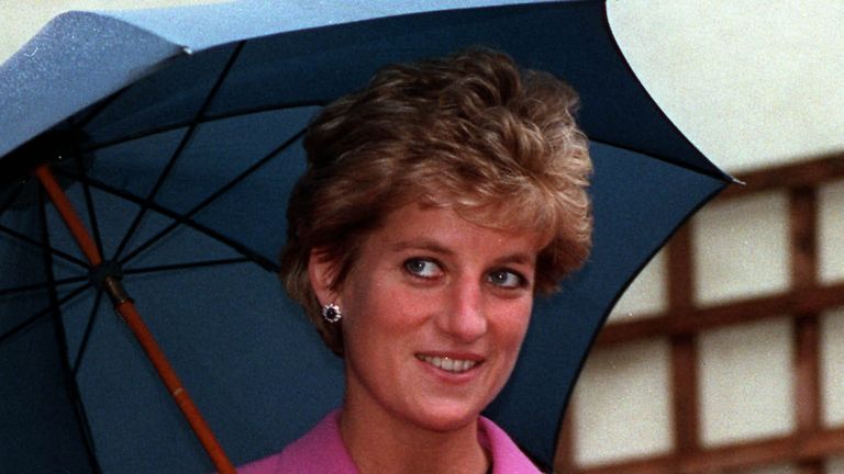 Diana, Princess of Wales in 1993