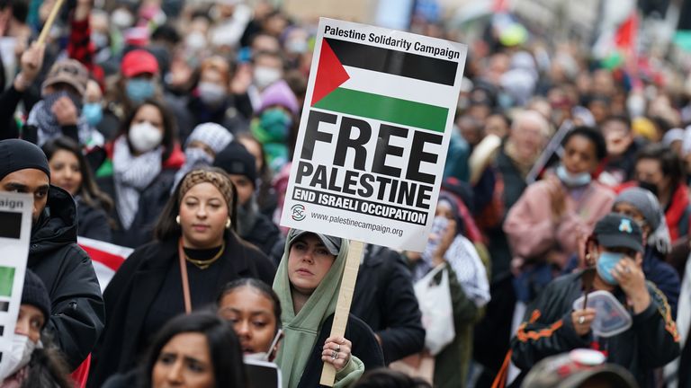 Pro-Palestine protesters disrupt Oxford Street Christmas shoppers in call to boycott 'pro-Israel' brands - Vimarsana News