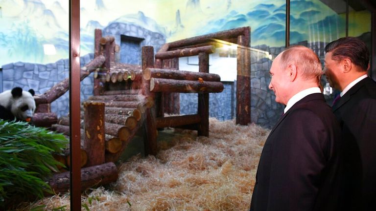 Russian President Vladimir Putin, second right, and Chinese President Xi Jinping, right, look at a panda in Moscow&#39;s Zoo in Moscow, Russia, Wednesday, June 5, 2019. Putin on Wednesday hosted Chinese leader Xi Jinping for Kremlin talks that reflected increasingly close ties between the two former Cold War-era communist rivals. (Alexander Vilf, Sputnik, Kremlin Pool Photo via AP)