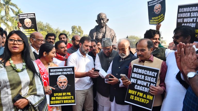 Congress party leader Rahul Gandhi and other MPs protest. Pic: AP