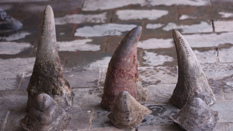 In 2011, regional museums and auction houses across Britain are hit by a bizarre crime spree.  Despite holding millions of pounds worth of precious artefacts, only one item has been targeted during each robbery: rhino horn. As this strange crime wave sweeps through Europe and beyond, rhino numbers are shrinking as their horns become more valuable than gold in the dark, illegal, world of animal poaching and trafficking. This documentary unpicks the story behind why the Rhino is facing extinction and the race to catch the people responsible - before it...s too late. 