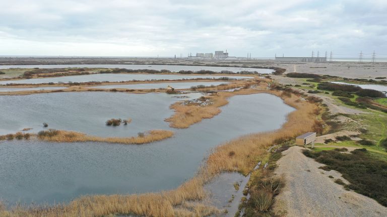 RSPB Dungeness in Kent 