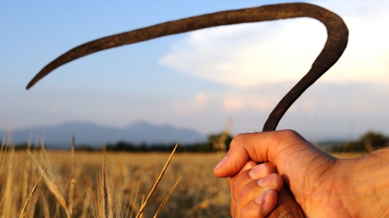 Farmers fought using sickles in the brawl. File pic