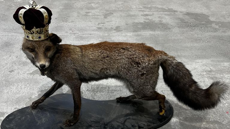 A taxidermised fox. Who would ever want to leave this lovely fella behind?