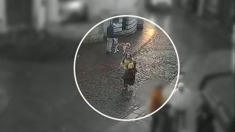 CCTV footage released of 55-year-old mother before she went missing.