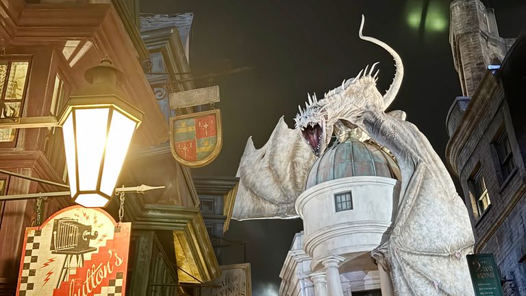 Harry Potter is a lynchpin of Universal&#39;s parks
