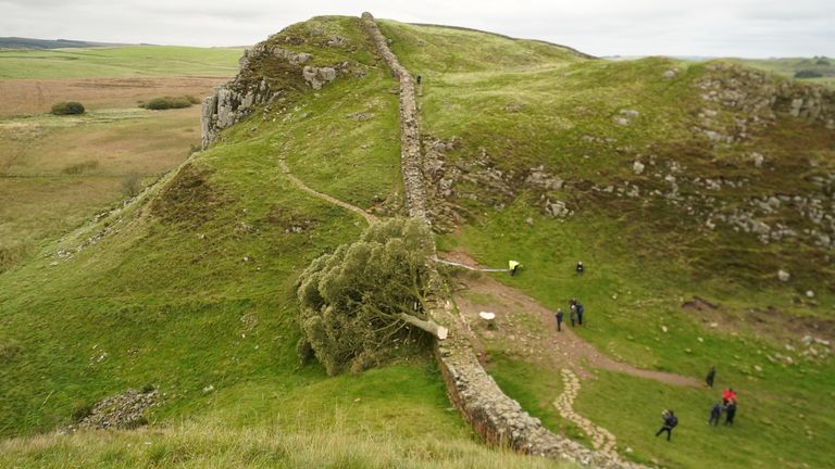 People look at the tree at Sycamore Gap, next to Hadrian's Wall, in Northumberland which has come down overnight after being "deliberately felled," the Northumberland National Park Authority has said. Picture date: Thursday September 28, 2023.
Read less
Picture by: Owen Humphreys/PA Wire/PA Images
Date taken: 28-Sep-2023