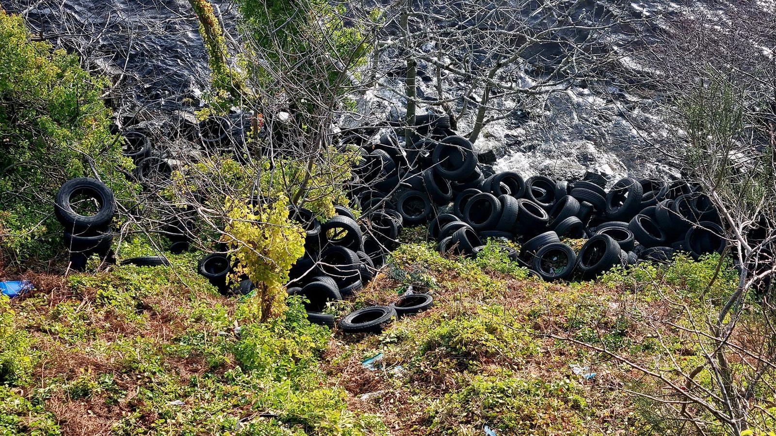 Повече от 100 гуми, изхвърлени на брега на езерото Лох Нес близо до Драмнадрочит