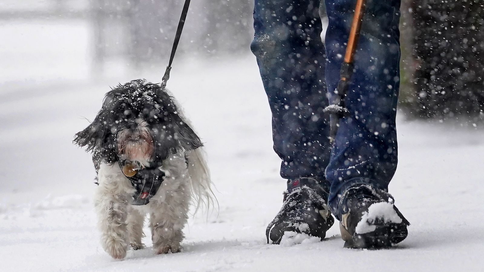 UK weather: Met Office warns Arctic blast to bring more snow and ...