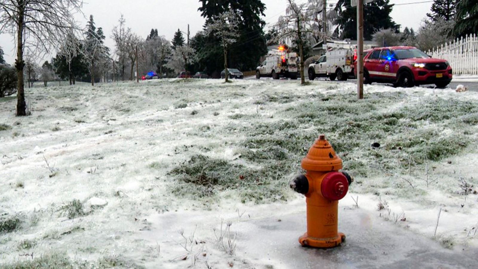 Three die from electrocution after live power line falls on car in Oregon ice storm