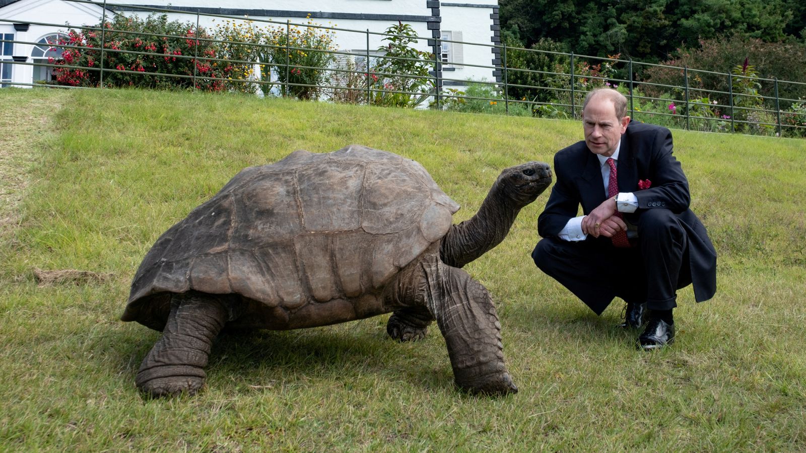 Prince Edward meets world's oldest living land animal - who was alive during Queen Victoria's reign