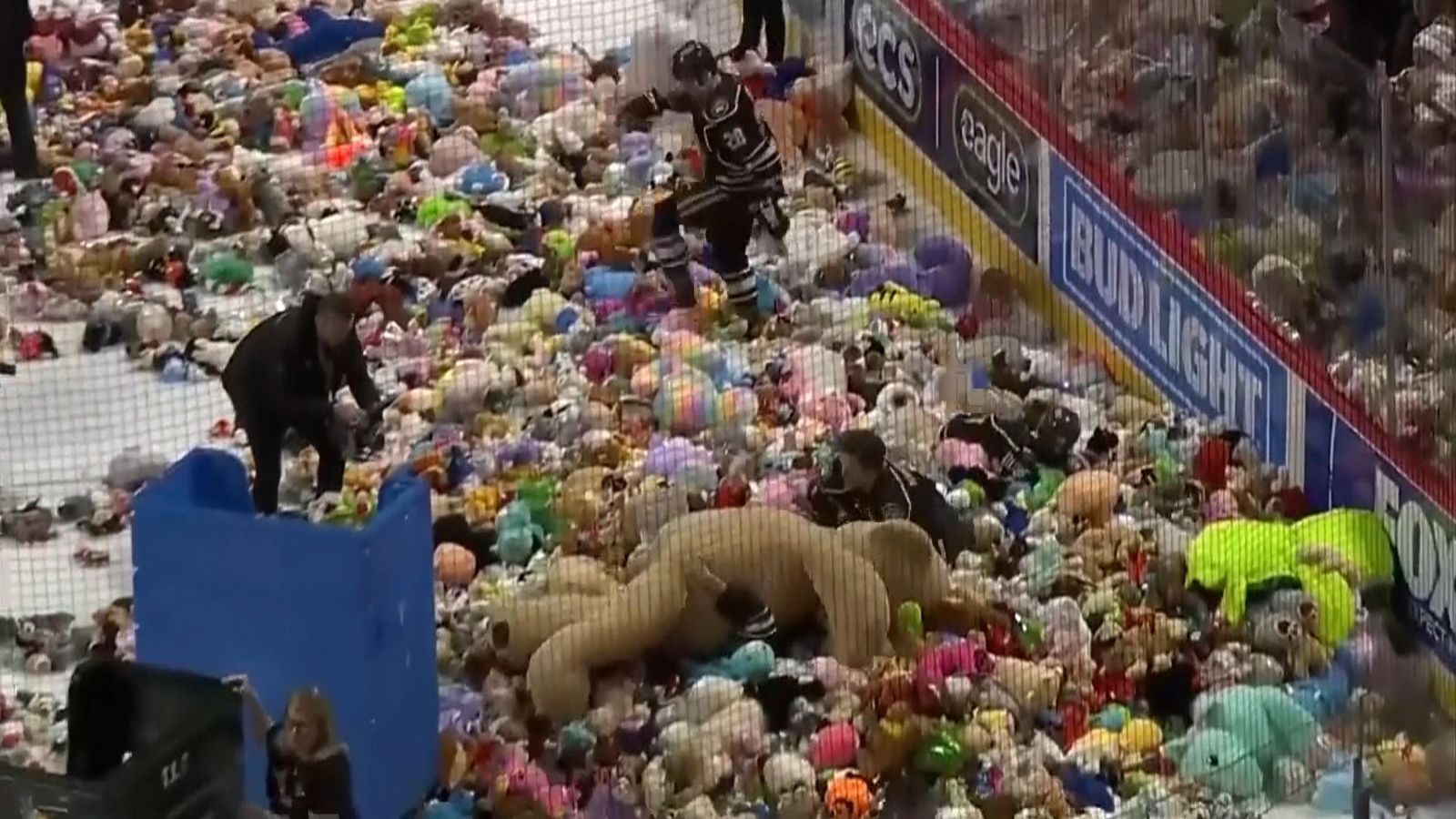 Hockey store teddy bear