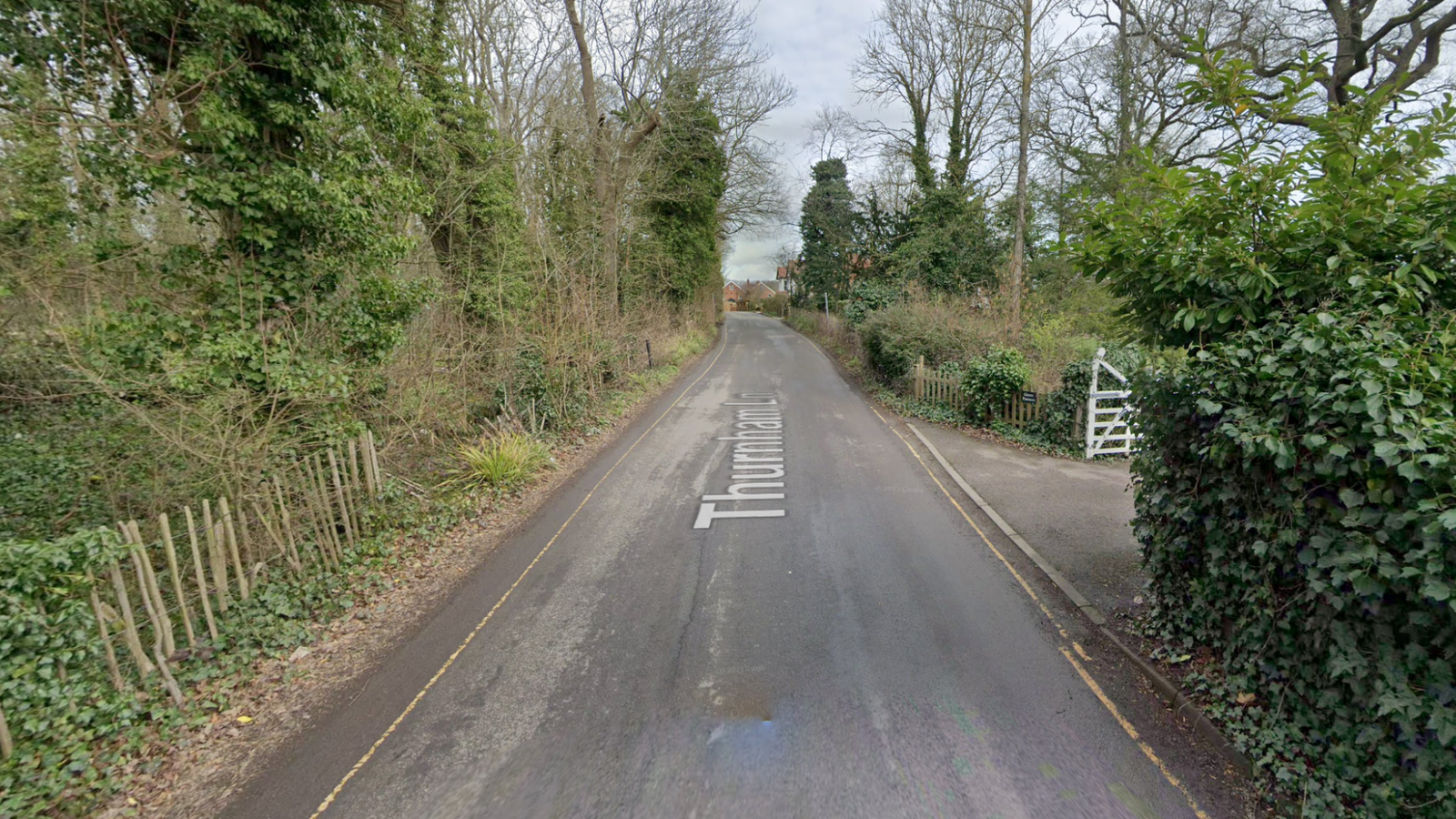 Dog walkers and pet killed after being hit by BMW in Maidstone