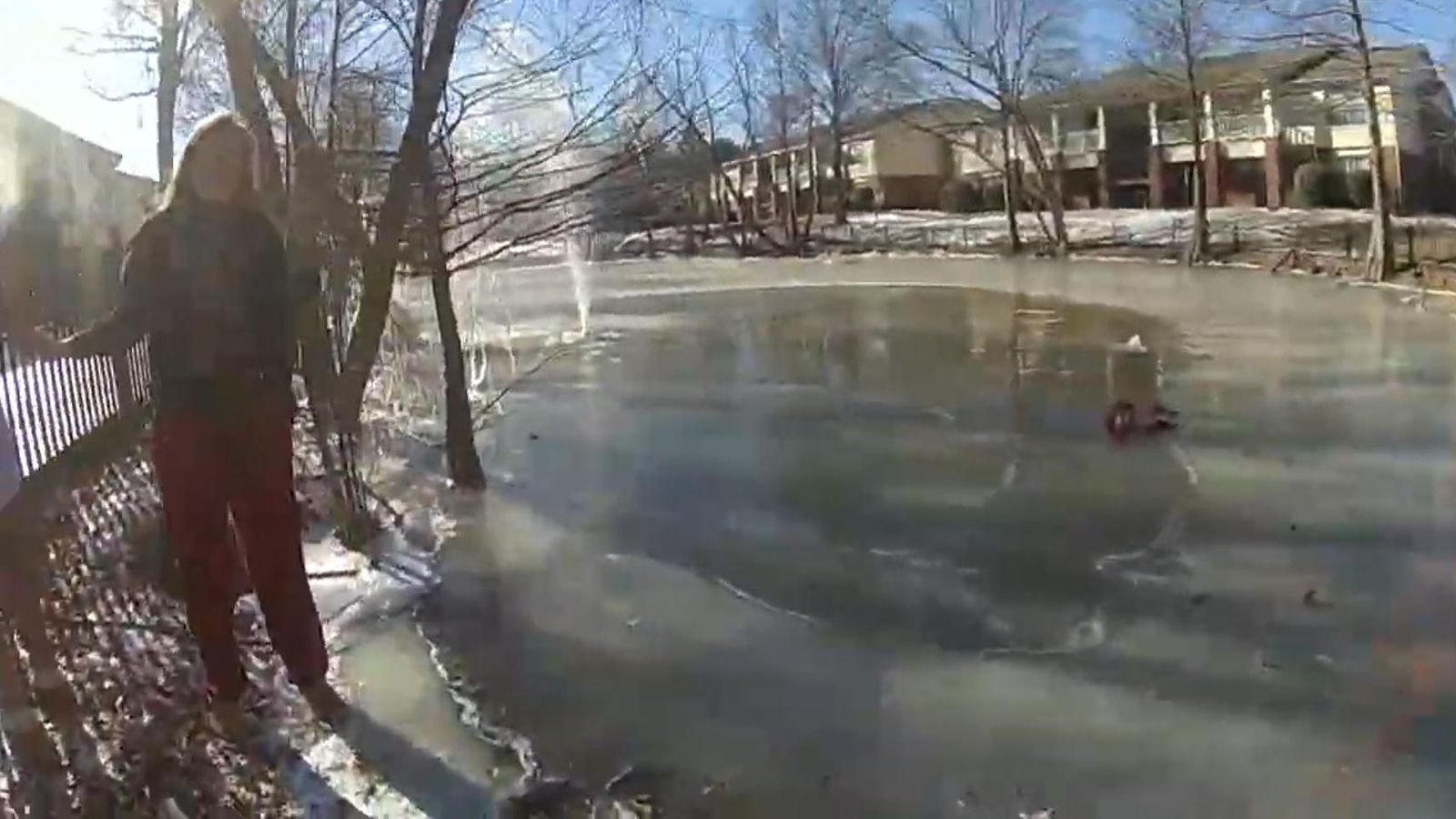 US: Quick-thinking police officer pulls child from a frozen pond | US ...