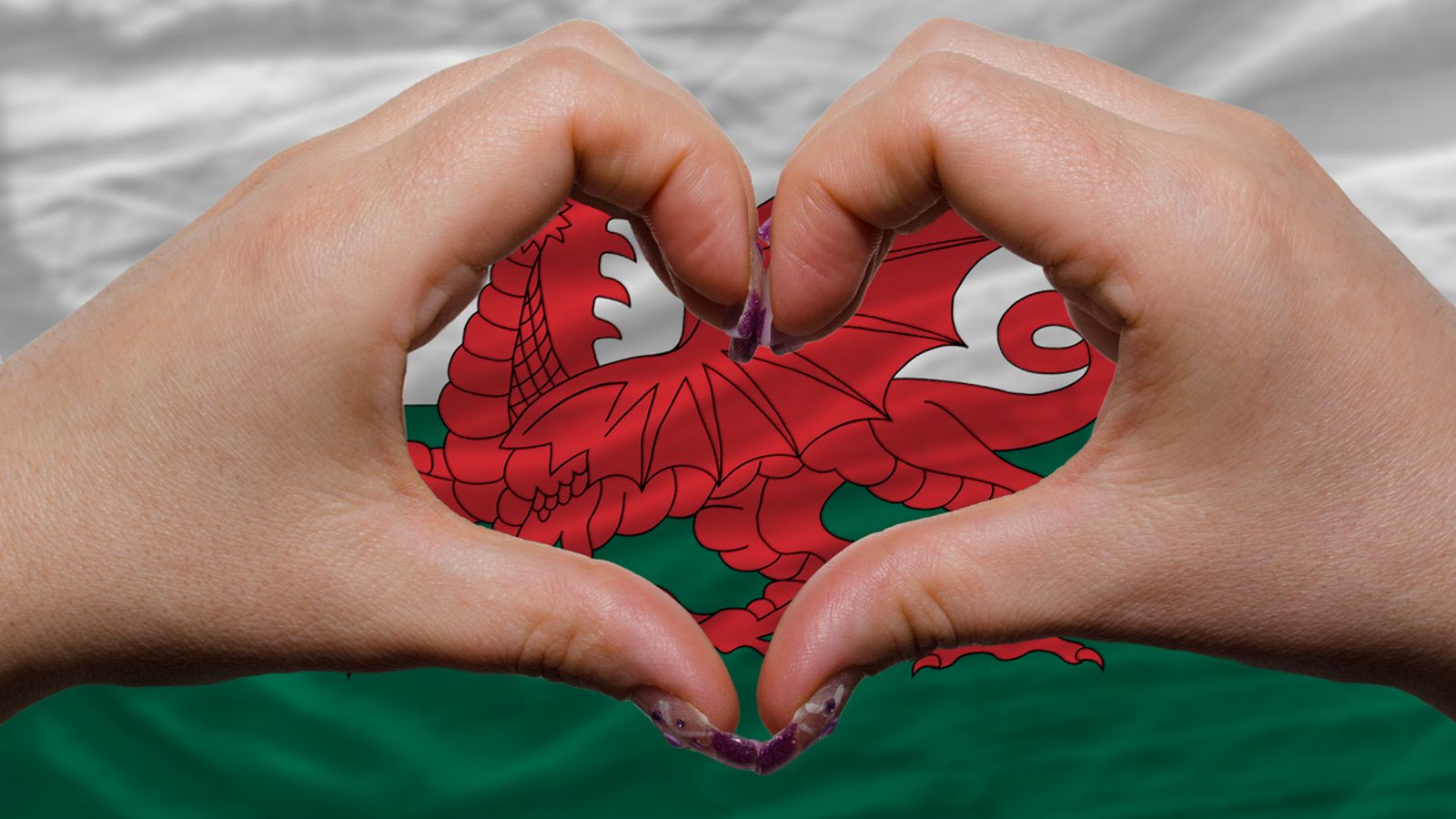 St Dwynwen's Day What is the 'Welsh Valentine's Day' and how is it