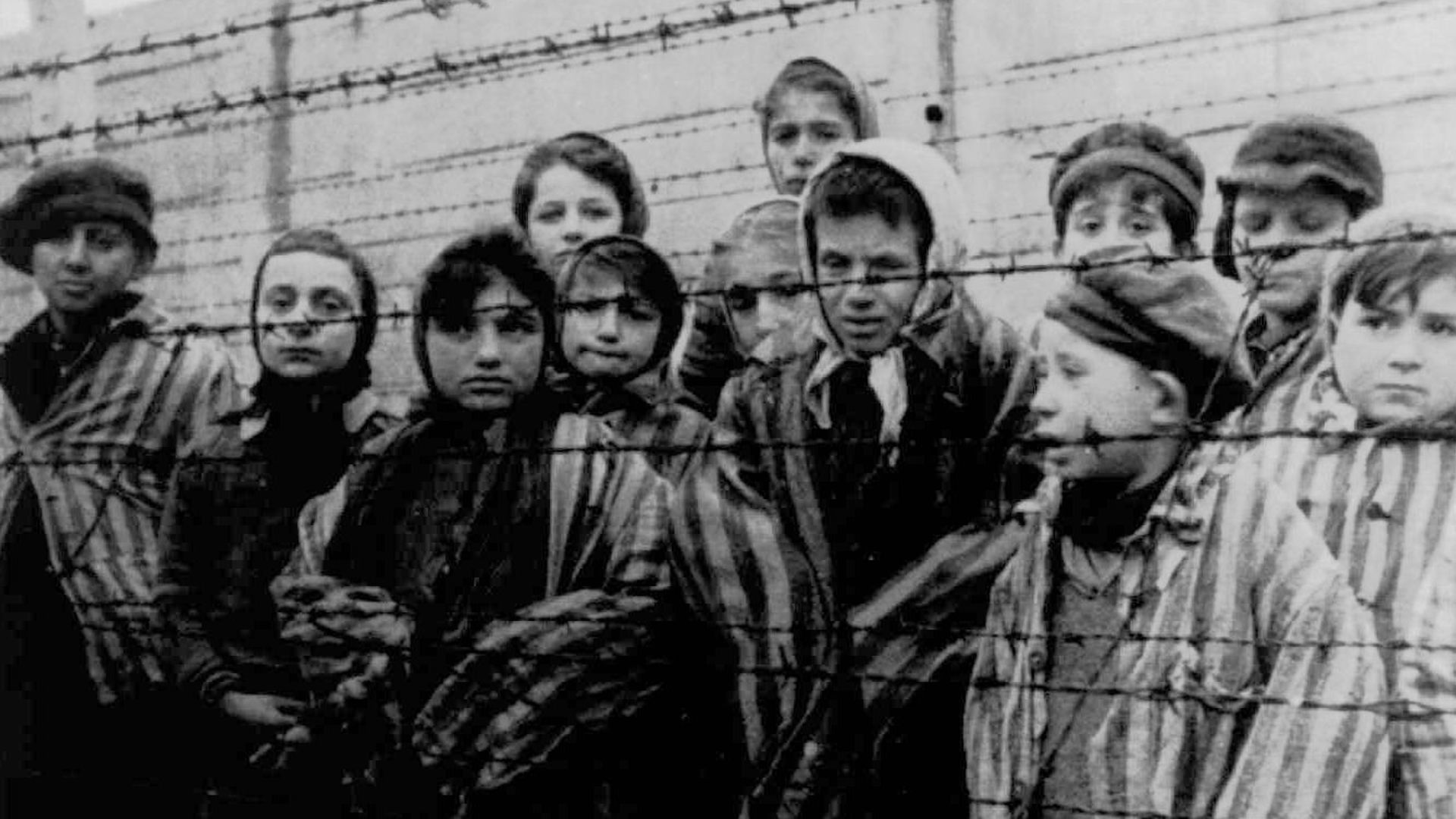 Pupils learn about the horrors of the Holocaust by 'talking' to survivors using AI and virtual reality