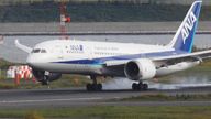 An All Nippon Airways (ANA) aircraft lands at Haneda Airport in Tokyo. File pic