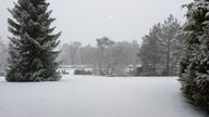 A snowy scene in Aviemore, Scotland. Much of Britain is facing another day of cold temperatures and travel disruption after overnight lows dropped below freezing for the bulk of the country. A "cold plunge of Arctic air" has moved south across the whole country over the past few days, making it 5C-6C lower than usual for this time of year, the Met Office said. Picture date: Tuesday January 16, 2024. PA Photo. Photo credit should read: Michael Davidson/PA Wire 