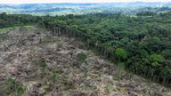 A deforested area during an operation to combat deforestation near Uruara, Para State, Brazil, in January 2023