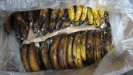 A shipment of bananas which contained drugs. Pic: Metropolitan Police