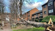A tree blown over by the wind and crashed into the portico, knocking it down in Tooting, south west London. The Met Office has issued an amber weather warning for Storm Henk, which is forecast to bring gusts of up to 80mph to parts of the UK. Picture date: Tuesday January 2, 2024.

