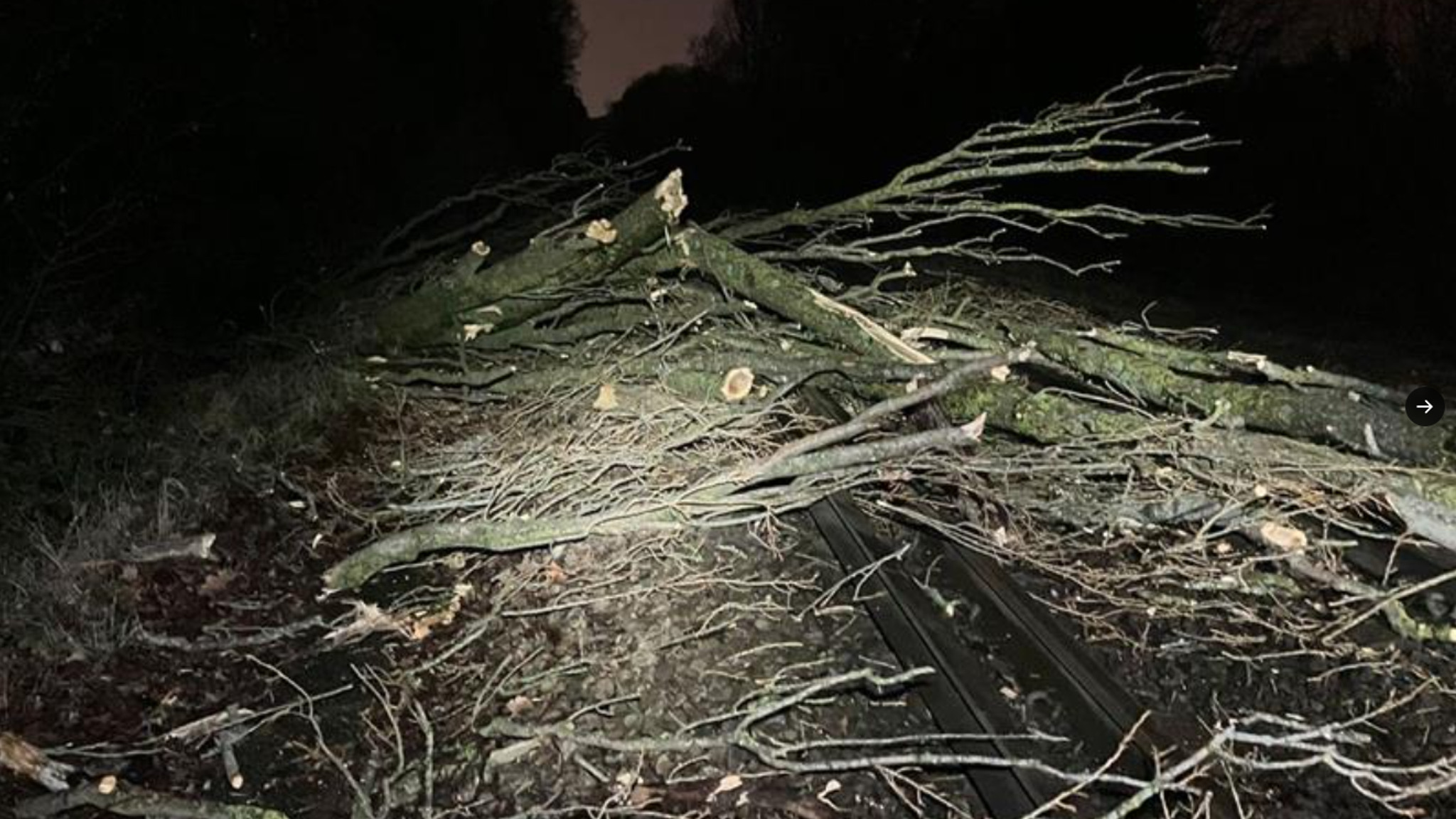 Storm Henk: Man dies after tree falls on car in Gloucestershire | UK ...