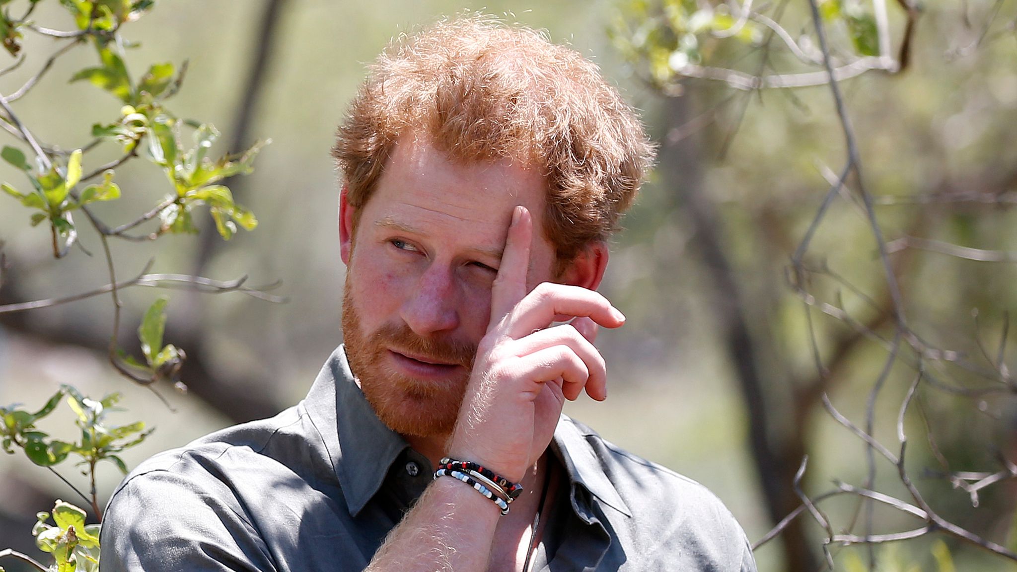 African wildlife charity with Prince Harry as board member