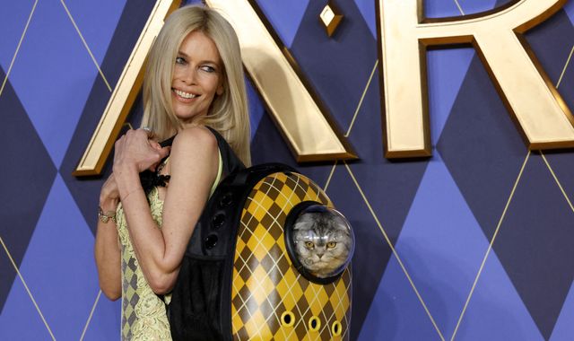 Claudia Schiffer's cat steals the show at London premiere of husband Matthew Vaughn's new spy film - Vimarsana News