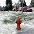 Three die from electrocution after live power line falls on car in ice storm