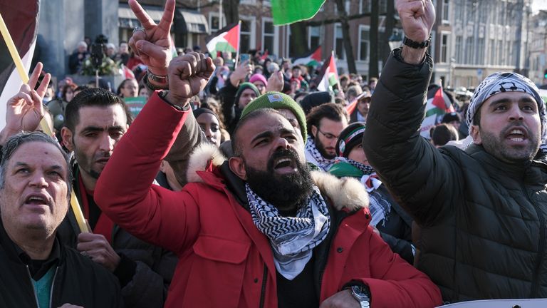 Pro-Palestinian activists react near the International Court of Justice
Pic: AP