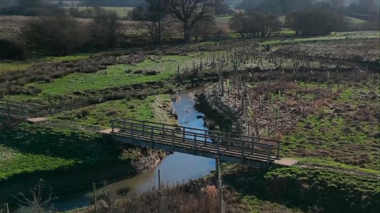 The River Adur meanders through the Knepp Estate