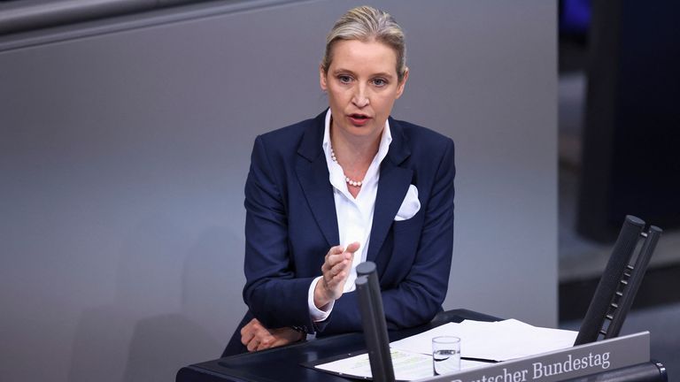 The personal assistant to the AfD leader Alice Weidel (pictured) was at the meeting