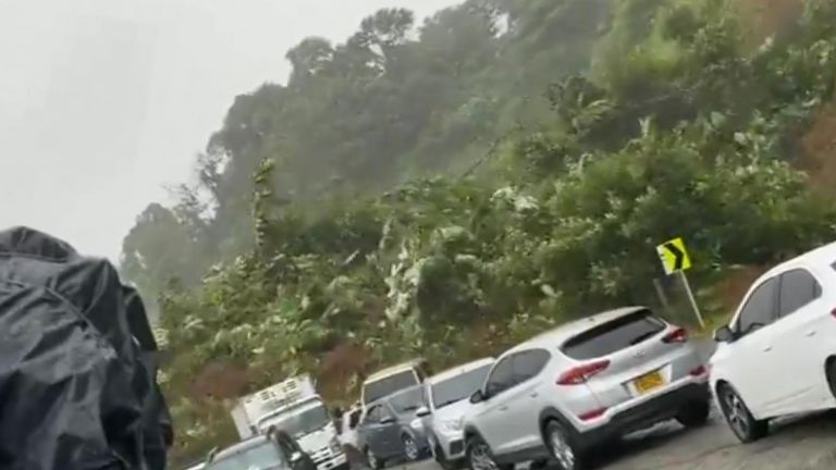 The mudslide brought vegetation with it as it crashed towards the cars