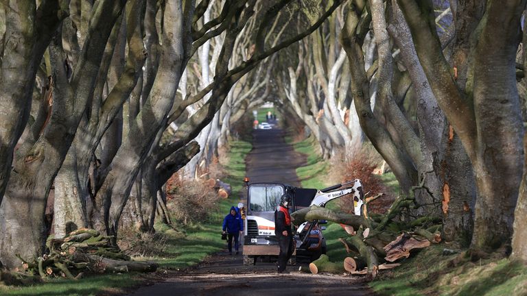 Work is ongoing at the Dark Hedges
