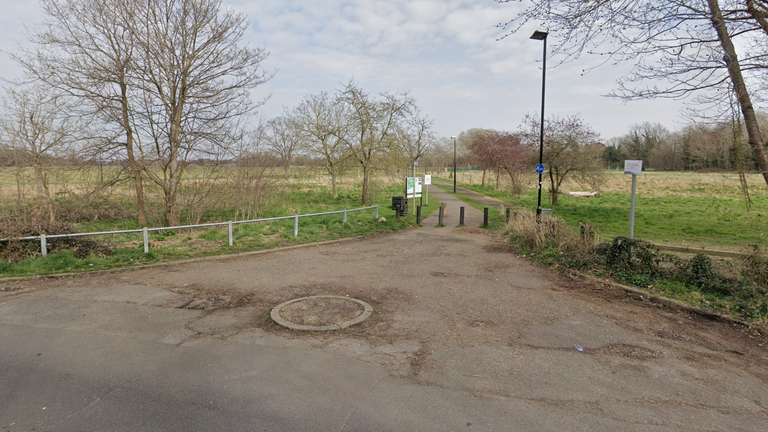 The entrance to Hanworth Park on Elmwood Avenue Pic: Google Street View