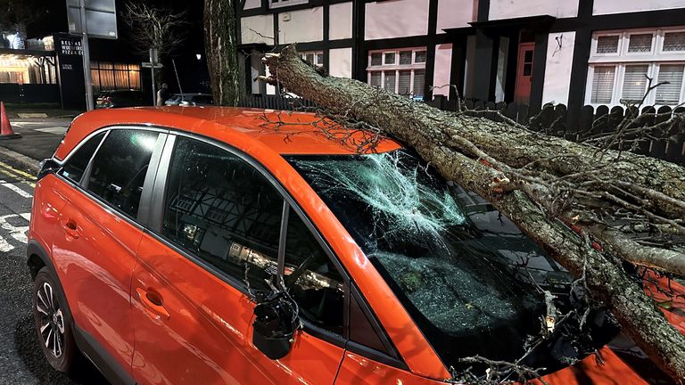 A tree branch fallen on a car on Lisburn Road in Belfast