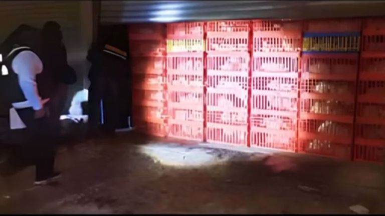 The suspects detained are accused of extorting chicken merchants in Toluca near Mexico City