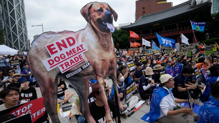 Animal rights activists protested in Seoul in July last year. Pic: AP