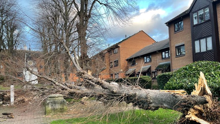A tree blown over by the wind and crashed into the portico, knocking it down in Tooting, south west London. The Met Office has issued an amber weather warning for Storm Henk, which is forecast to bring gusts of up to 80mph to parts of the UK. Picture date: Tuesday January 2, 2024.

