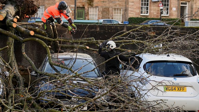 Tree surgeons remove a fallen tree from a car during Storm Isha in Linlithgow, West Lothian