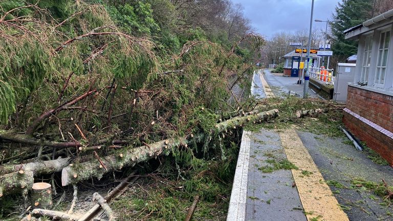 A fallen tree on the line at Arrochar and Tarbet on Monday